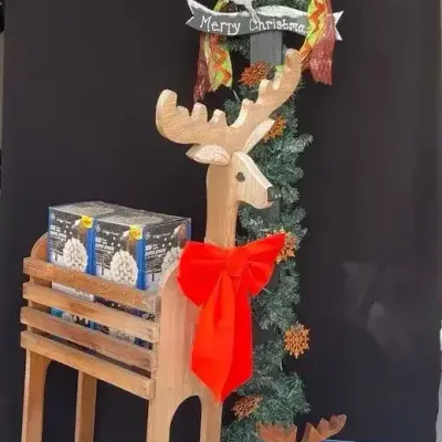 Outdoor Christmas Decorations