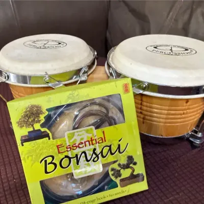 Bonsai And Bongos