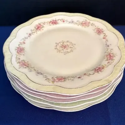 5 ZS & Co Bavaria Greek Key Dinner Plates - Mixed Pink & Green Border, Floral