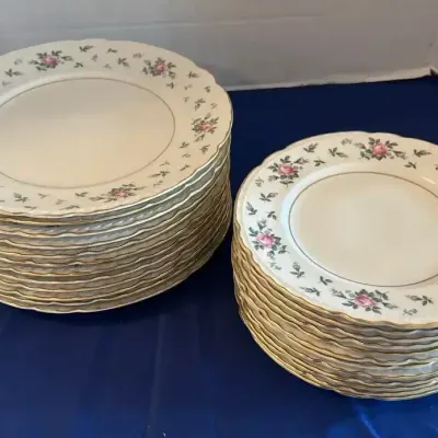 Princess Emcraft USA Briar Rose - 12 Dinner & Salad Plates, Pink & Green Floral China, Scallop Edge