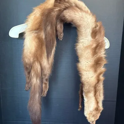 Vintage Real Fur Stole Scarf - 2 Pelt, Wrap, Head, Paws, Tail