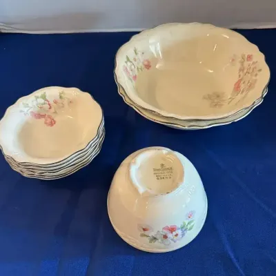 9 Homer Laughlin Virginia Rose Bowls - 6 Dessert, 2 Salad & Notched Small