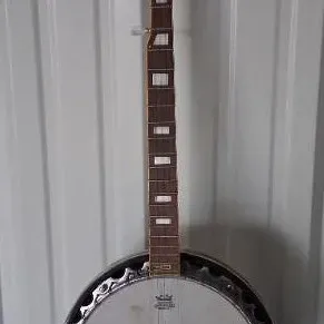 Vintage Rogue 5-string banjo with pearloid block inlays and a Remo drumhead.