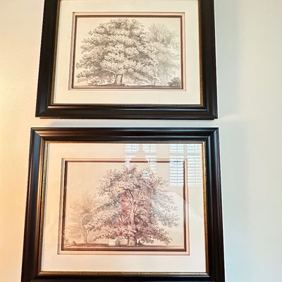 Sale Photo Thumbnail #120: Pair of framed botanical tree study art prints, displayed in matching dark wood frames with cream and reddish-brown matting.