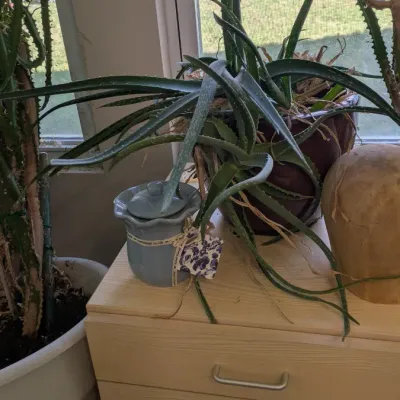 Sale Photo Thumbnail #377