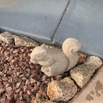 Sale Photo Thumbnail #136: Cast concrete or stone squirrel garden statue, featuring a natural weathered patina.