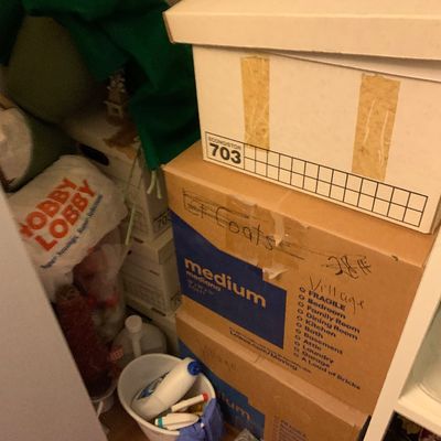 Sale Photo Thumbnail #104: Stack of cardboard moving boxes labeled "Village" alongside household cleaning supplies inside a closet.