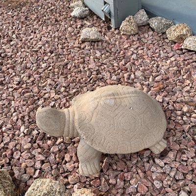 Sale Photo Thumbnail #135: Cast concrete turtle garden statue resting in red gravel landscaping.