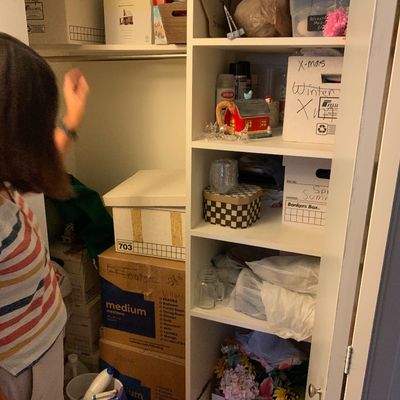Sale Photo Thumbnail #98: A white closet filled with various storage boxes, holiday decor, artificial flowers, and household items.