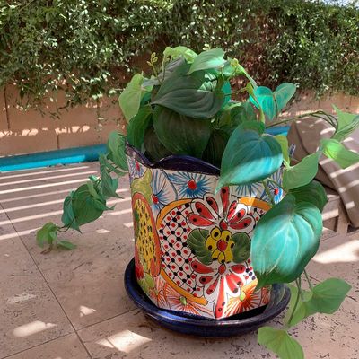 Sale Photo Thumbnail #4: Hand-painted Mexican Talavera ceramic planter with matching saucer, holding a potted trailing green plant.