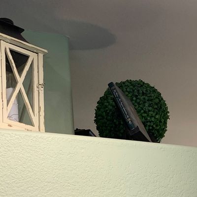 Sale Photo Thumbnail #80: Rustic cream-painted wooden lantern and a faux boxwood topiaries ball set atop a high wall ledge.