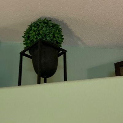Sale Photo Thumbnail #114: Faux topiary ball set in a dark ceramic pot with a minimalist black metal plant stand.