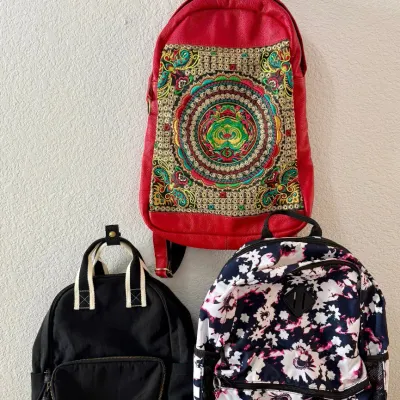 Adidas Pink Flower Back Pack, Red Leather Embroidered Pack, And Black Material Pack