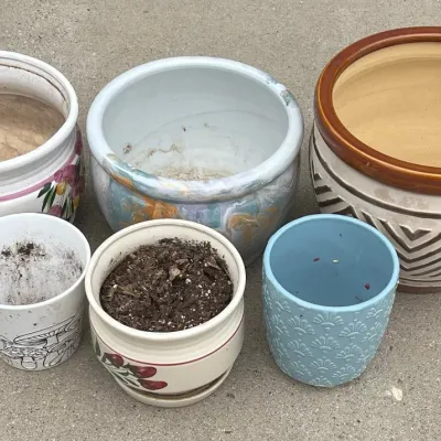 (6) Ceramic And Pottery Planters