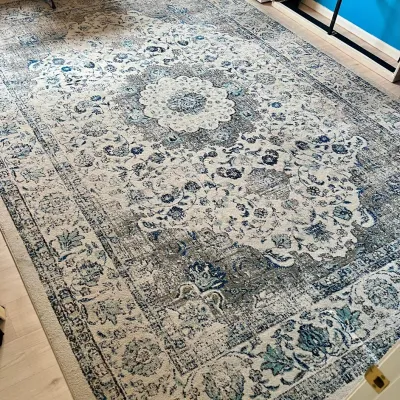 Safavieh Evoke Ivory Grey 10 X 14 Foot 100 Percent Polypropylene Area Rug (as Is)