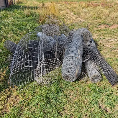 G large assortment of chicken wire
