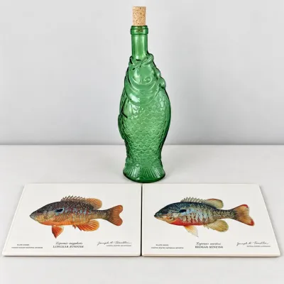 K kitchen fish theme de cor set