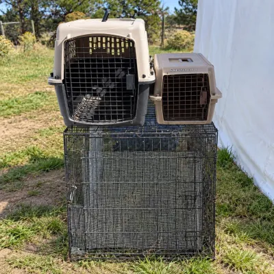 G large and small animal crates