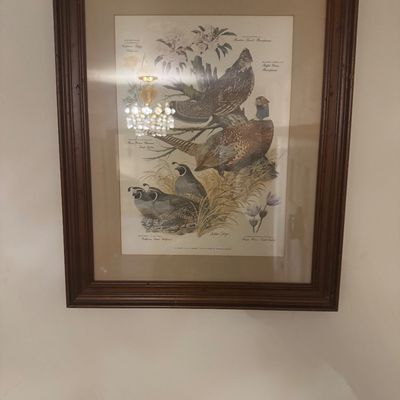 Sale Photo Thumbnail #76: Framed Arthur Singer botanical and game bird illustration print featuring quail and pheasants, housed in a molded wood frame.