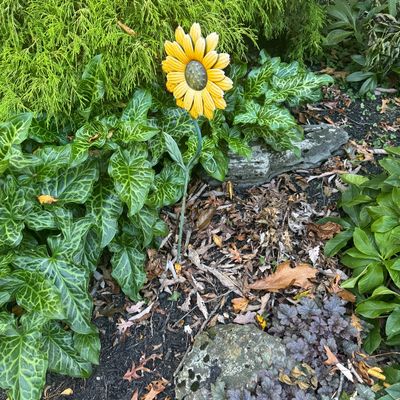 Sale Photo Thumbnail #164: Yellow painted metal sunflower garden stake placed in a landscape bed.