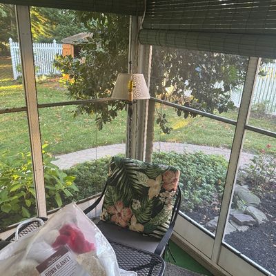 Sale Photo Thumbnail #8: Screened porch setting featuring a wrought iron armchair with a tropical print cushion, a matching mesh side table, and a floor lamp with a pleated shade.