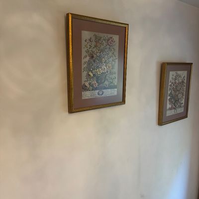 Sale Photo Thumbnail #213: Pair of framed botanical floral prints in gilded wood frames with burgundy matting.