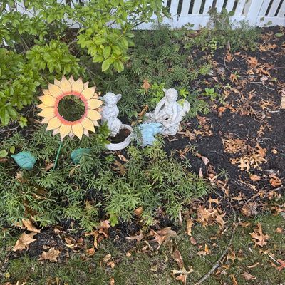 Sale Photo Thumbnail #128: Collection of garden decor including a metal sunflower garden stake and concrete cherub statues, shown amidst landscaping.
