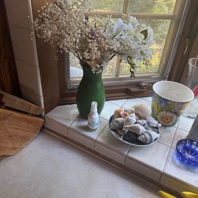 Sale Photo Thumbnail #232: Collection of windowsill decor including a green ceramic vase with dried and artificial flowers, a plate filled with seashells, and a floral ceramic cup.