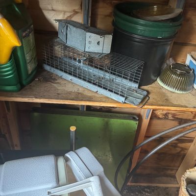 Sale Photo Thumbnail #3: Collection of workshop and garden items on a shelf, including Havahart humane animal traps, plastic buckets, lawn care chemicals, and ceramic bowls.