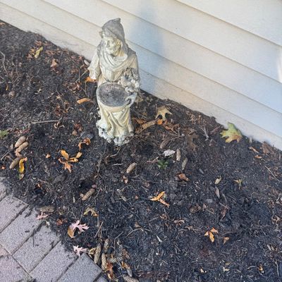 Sale Photo Thumbnail #123: Concrete St. Francis outdoor garden statue with a bird feeder bowl, placed in a mulched landscape bed.