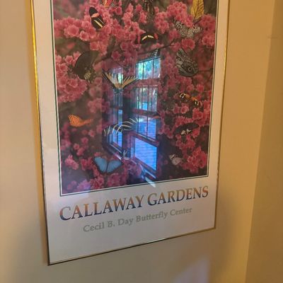 Sale Photo Thumbnail #49: Framed Callaway Gardens poster featuring butterflies from the Cecil B. Day Butterfly Center in a thin metal frame.