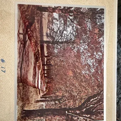 Sale Photo Thumbnail #265