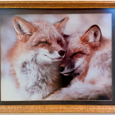 Sale Photo Thumbnail #152