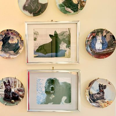 Sale Photo Thumbnail #153