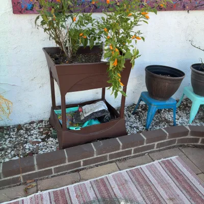 Sale Photo Thumbnail #99