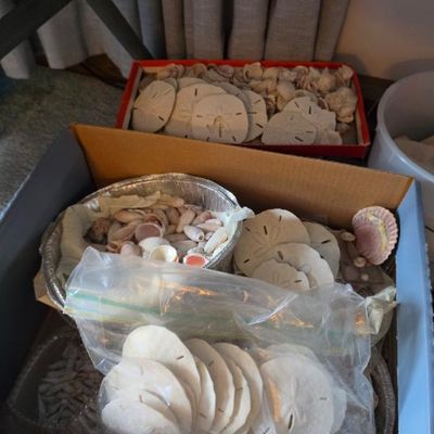Sale Photo Thumbnail #105