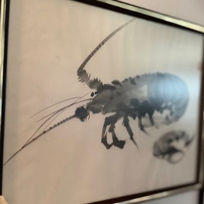 Framed Asian ink wash painting depicting a spiny lobster, housed in a thin metallic frame.