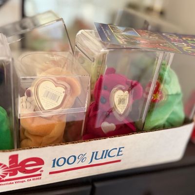 Collection of Ty Beanie Babies bear plush toys individually preserved in acrylic display cases, packed together in a cardboard box.