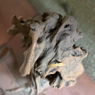 Natural driftwood sculpture piece.