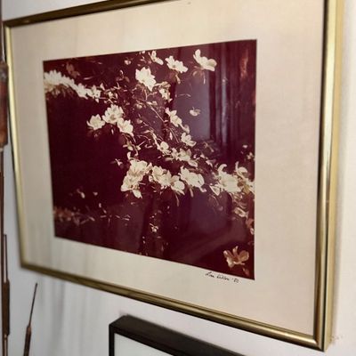 Sale Photo Thumbnail #130: Framed floral art print featuring white blossoms against a dark background, signed Lisa Dillon '80, presented in a thin gold metal frame with off-white matting.