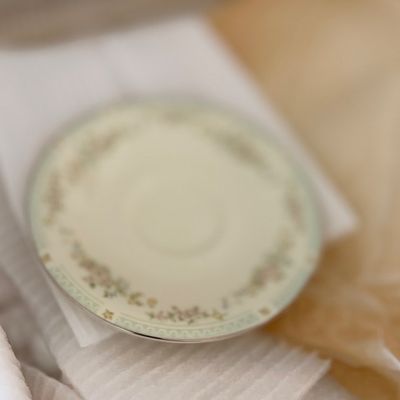 Sale Photo Thumbnail #120: Fine china saucer with a delicate floral pattern and platinum or silver rim, packed in protective foam padding.