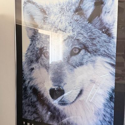 Sale Photo Thumbnail #140: Framed poster titled 'The Sawtooth Pack' by Jim Dutcher, featuring a close-up photograph of a wolf with snow on its head.