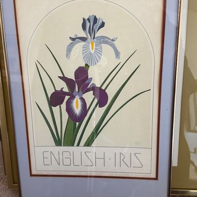 Framed vintage "English Iris" botanical art print, double-matted in a slim metallic frame.