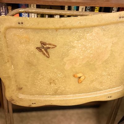 Vintage fiberglass TV tray featuring embedded butterfly motifs.