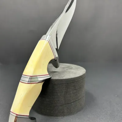 Sale Photo Thumbnail #129: Custom fixed-blade hunting knife featuring a polished stainless steel blade and a segmented bone handle with red and metal spacers.