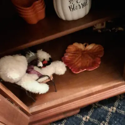 Sale Photo Thumbnail #123: Seasonal decor and plush figures displayed inside a wooden cabinet shelf, featuring a decorative pumpkin inscribed with 'Thankful & Blessed', autumn leaf-shaped ceramic dishes, and stuffed bears.