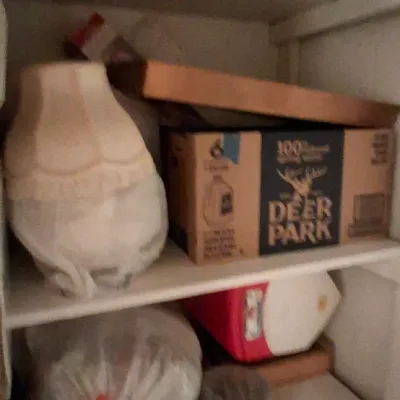 Sale Photo Thumbnail #104: Assorted household items stored on white closet shelving, including a vintage fabric lampshade, a cardboard Deer Park box, and bagged items.