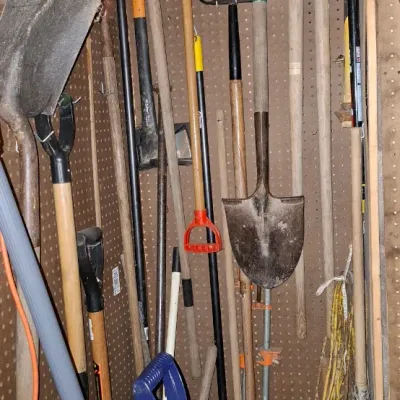 Sale Photo Thumbnail #150: Collection of assorted vintage and modern lawn and garden hand tools, including shovels, pitchforks, hoes, and post-hole diggers stored on pegboard wall racks.