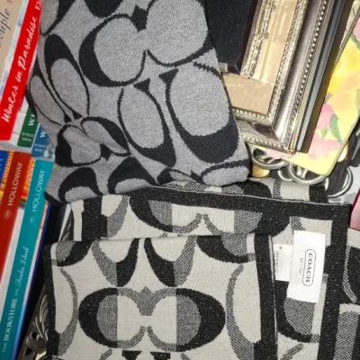Sale Photo Thumbnail #76: Collection of designer scarves, including Coach monogram knit scarves and a Michael Kors logo scarf, displayed alongside paperback books and picture frames.