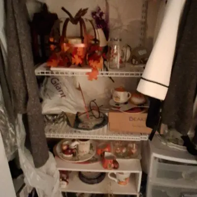 Sale Photo Thumbnail #121: Closet shelves filled with an assortment of items including autumn and Halloween decor, plates, mugs, and household goods.